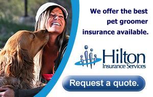 HiltonWebAd.jpg